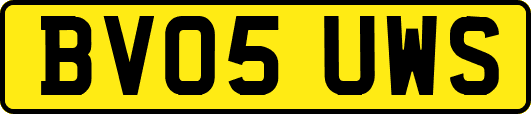 BV05UWS