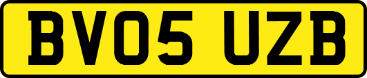 BV05UZB