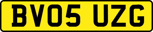 BV05UZG