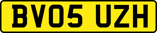BV05UZH