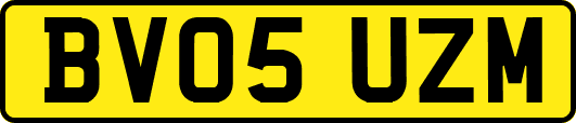 BV05UZM