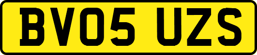 BV05UZS
