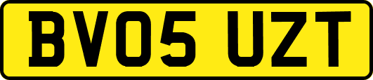 BV05UZT