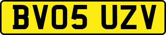 BV05UZV