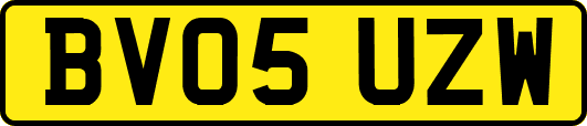 BV05UZW