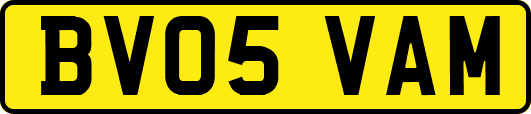 BV05VAM