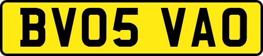 BV05VAO