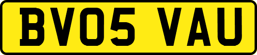 BV05VAU