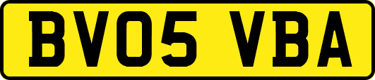 BV05VBA