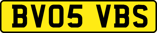 BV05VBS