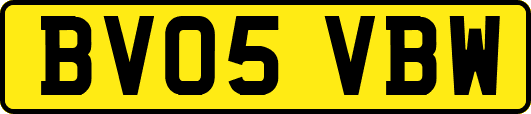 BV05VBW