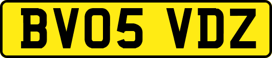 BV05VDZ
