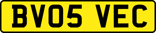 BV05VEC