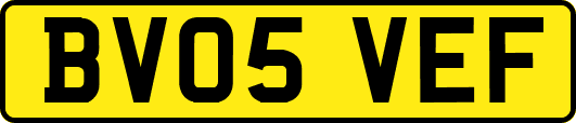 BV05VEF