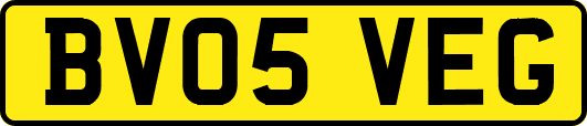 BV05VEG