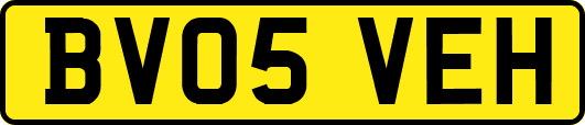 BV05VEH