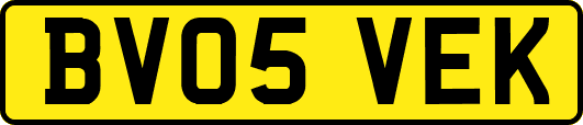 BV05VEK