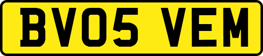 BV05VEM