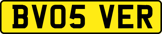 BV05VER