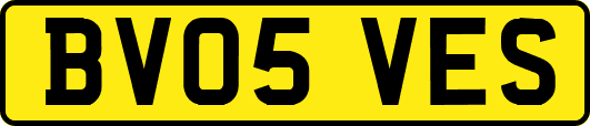 BV05VES