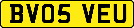 BV05VEU