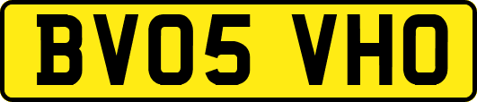 BV05VHO