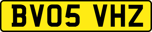 BV05VHZ