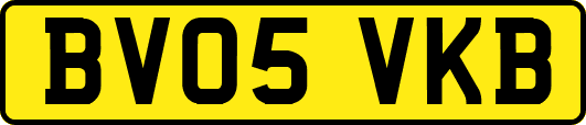 BV05VKB