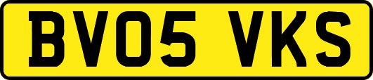 BV05VKS