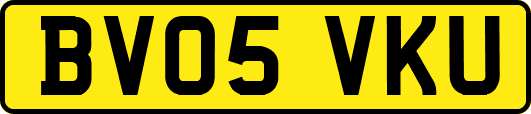 BV05VKU