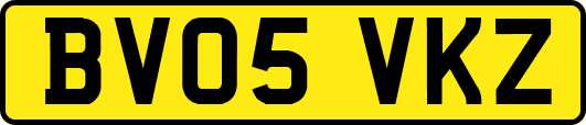 BV05VKZ