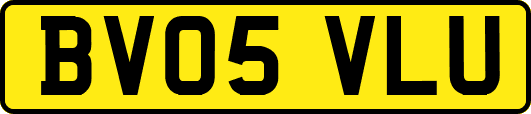 BV05VLU