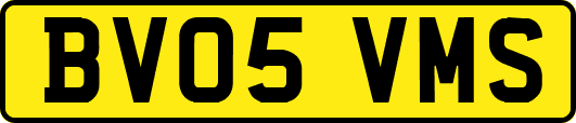 BV05VMS