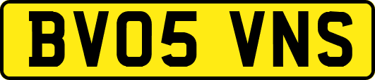 BV05VNS