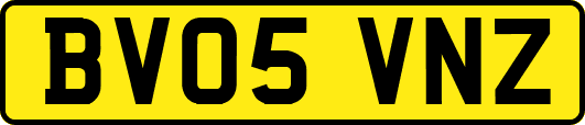 BV05VNZ