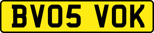 BV05VOK