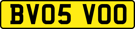 BV05VOO