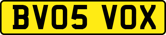 BV05VOX