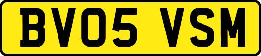 BV05VSM