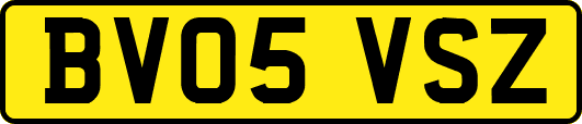 BV05VSZ
