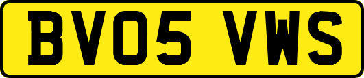 BV05VWS