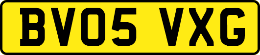 BV05VXG