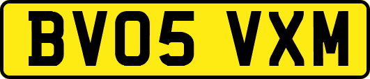 BV05VXM