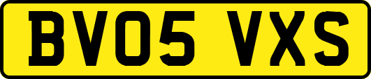 BV05VXS