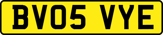 BV05VYE