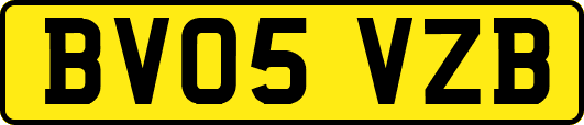 BV05VZB
