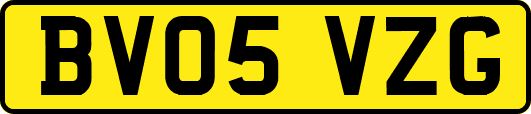 BV05VZG