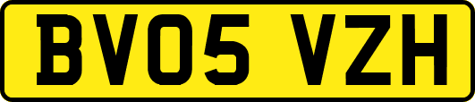 BV05VZH