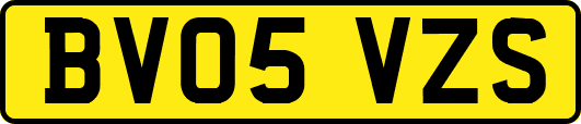 BV05VZS