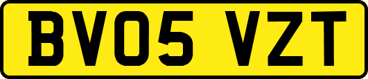 BV05VZT